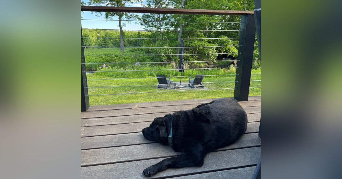 130. Spring Through 130. Spring Through