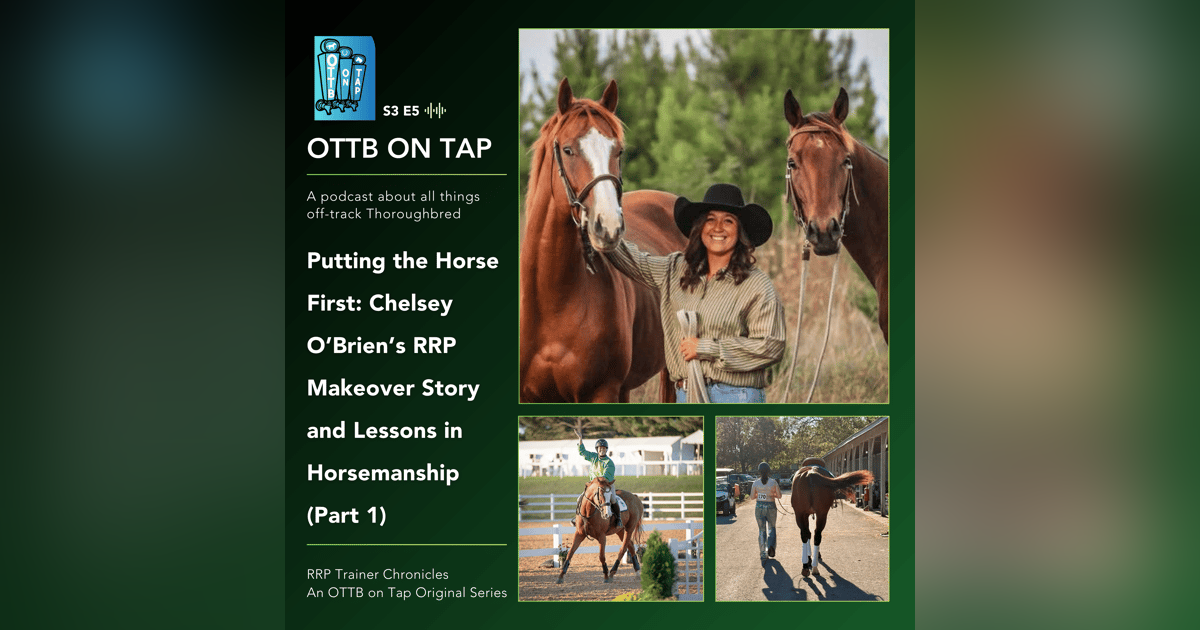 S3 E5: Putting the Horse First: Chelsey O’Brien’s RRP Makeover Story and Lessons in Horsemanship (Part 1) S3 E5: Putting the Horse First: Chelsey O’Brien’s RRP Makeover Story and Lessons in Horsemanship (Part 1)
