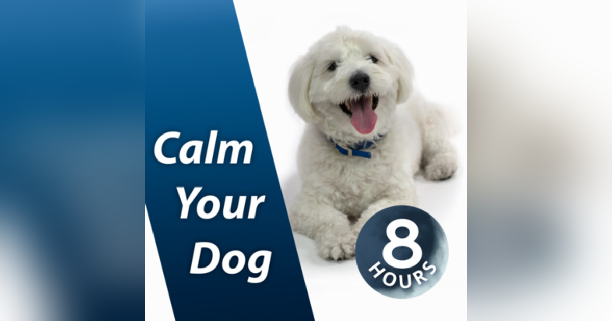 Calm Your Dog with White Noise 8 Hours | Relaxing Sound Soothes Puppy Anxiety Fast Calm Your Dog with White Noise 8 Hours | Relaxing Sound Soothes Puppy Anxiety Fast
