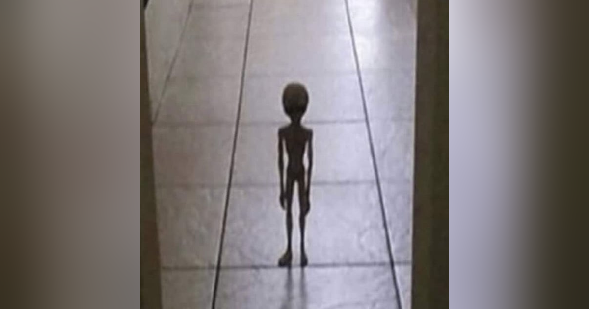 Historias de Miedo Mayo 10 de 2024 DIA DE LAS MADRES Historias de Miedo Mayo 10 de 2024 DIA DE LAS MADRES