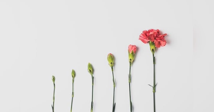 image for Understanding Growth on Both the Franchisee and Franchisor Side